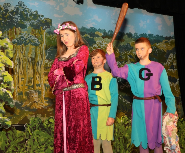 Robin and the Sherwood Hoodies Attain Robin and the Sherwood Hoodies Attain