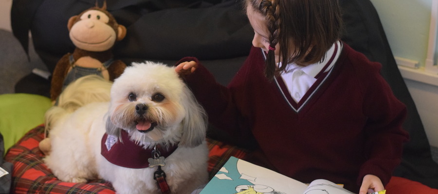 WOOFY WELLBEING (1)