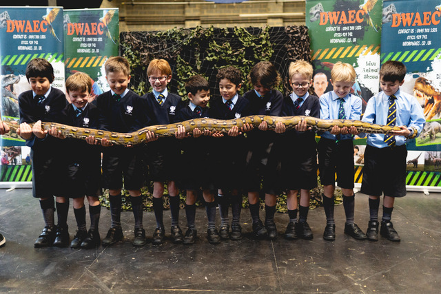 Snakes etc - Web-2