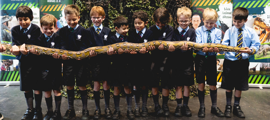 Snakes etc - Web-2