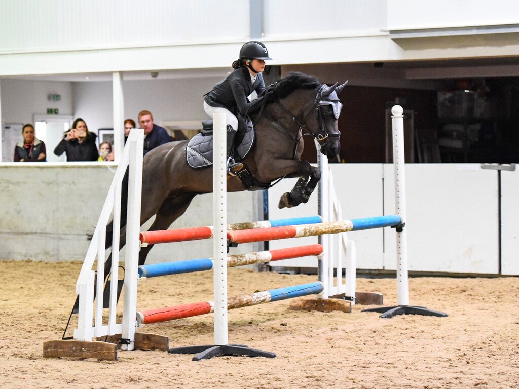 Tilly Showjumping