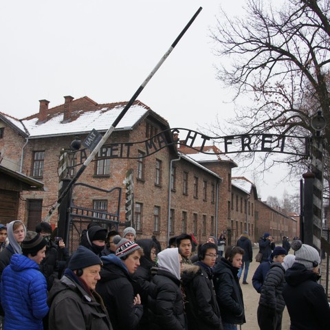Image Description