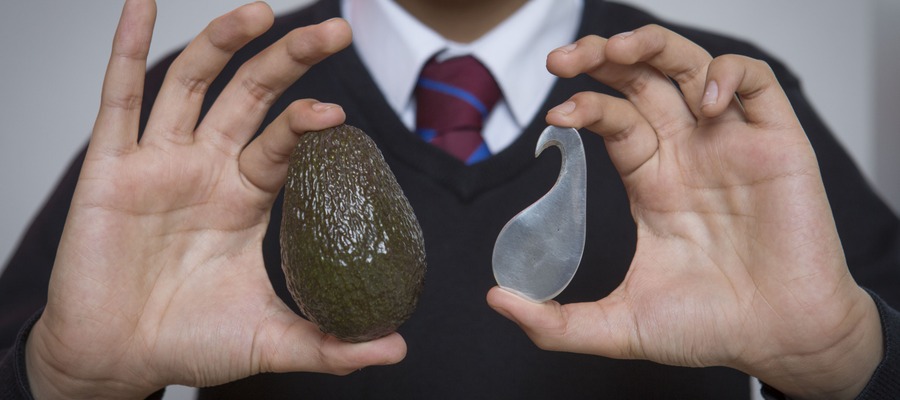 The Avogo
