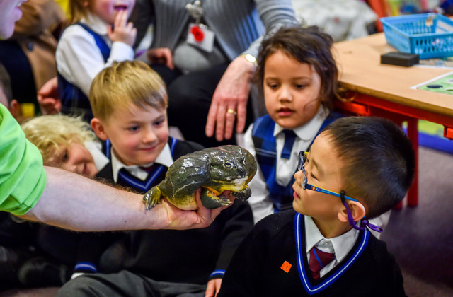 Mr Animazing at B'ton College Pre Prep - 05