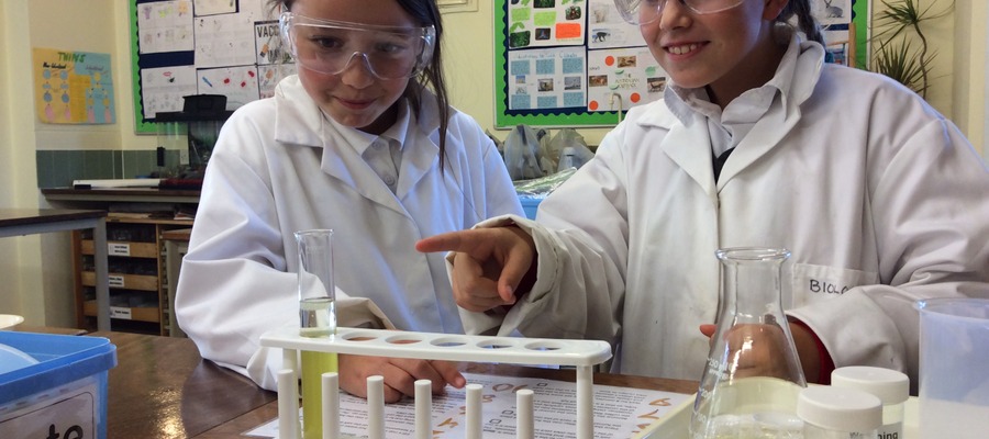 Extracting DNA from a banana at one of the Girls in Science days at Bruton School for Girls.