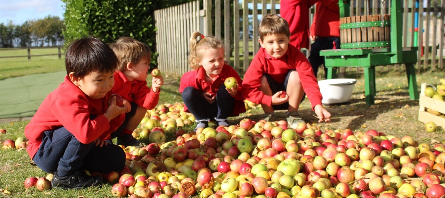 Nursery apple pressing crop - Copy