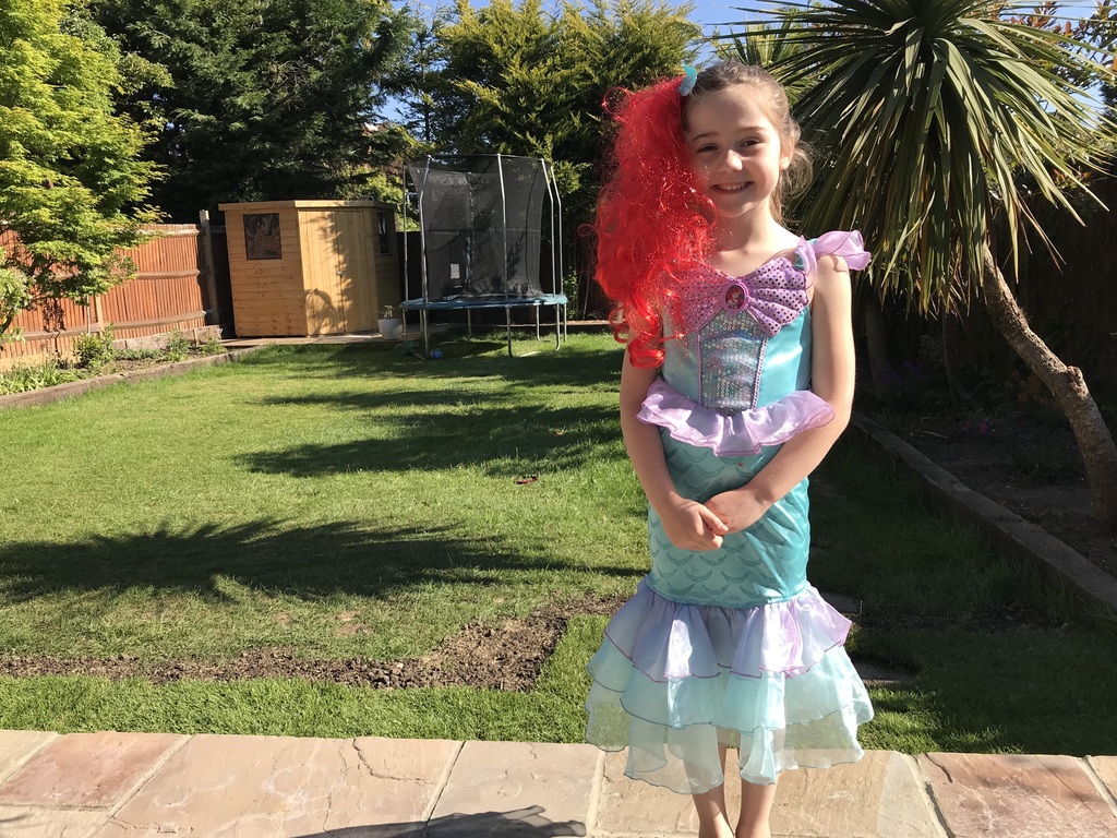 PPN fancy dress 3