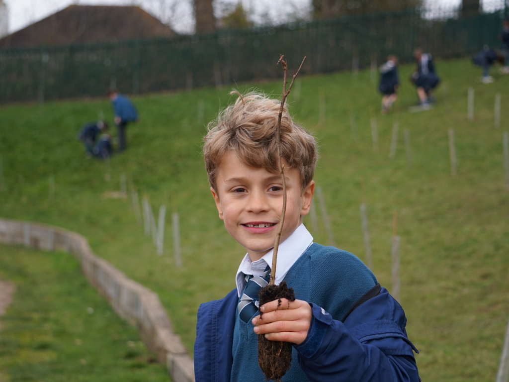 Tree planting - Y3 (17)