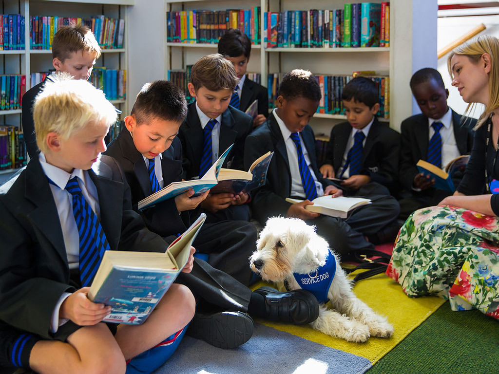 Monty_therapy_dog_JS_Library