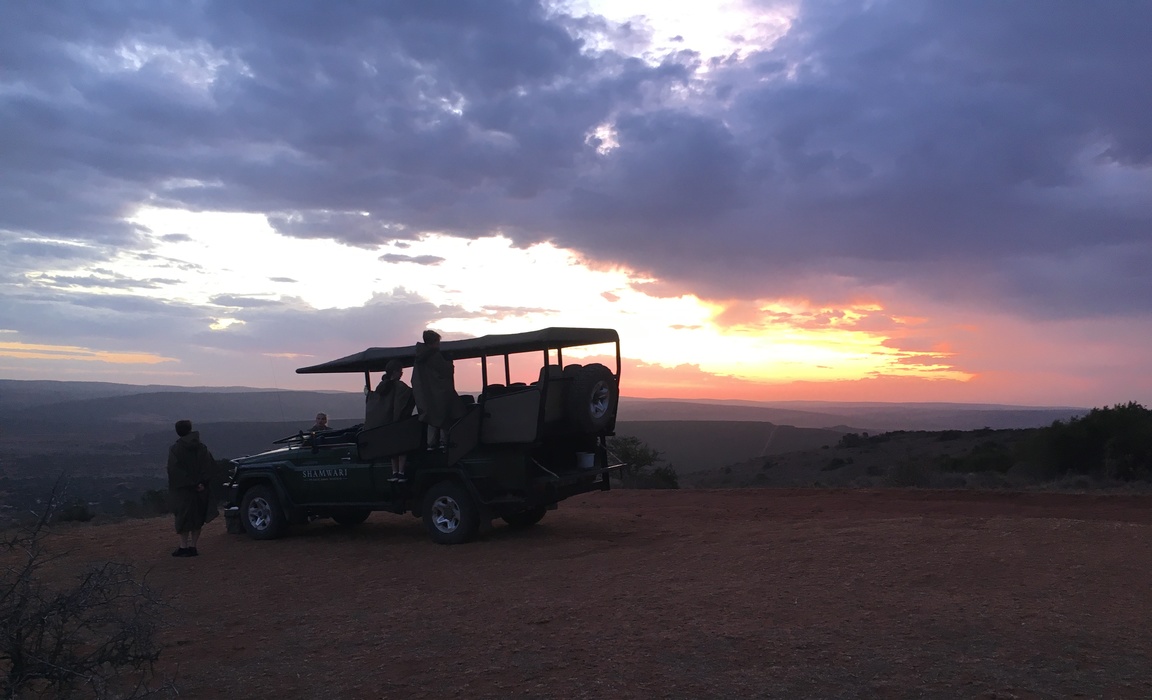 safari in south africa