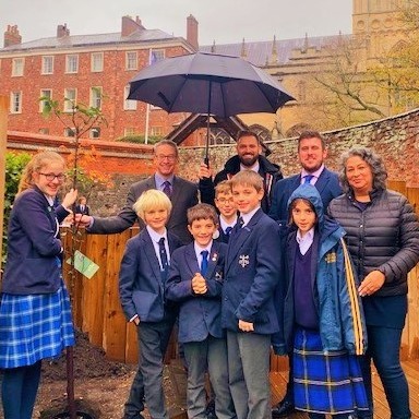 BSA_tree_planting