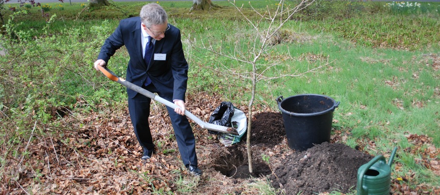 BSA Chief Executive, Robin Fletcher, planiting a 10ft oak sapling at Glenalmond College as part of the nationwide 'Boarding Orchard' programme