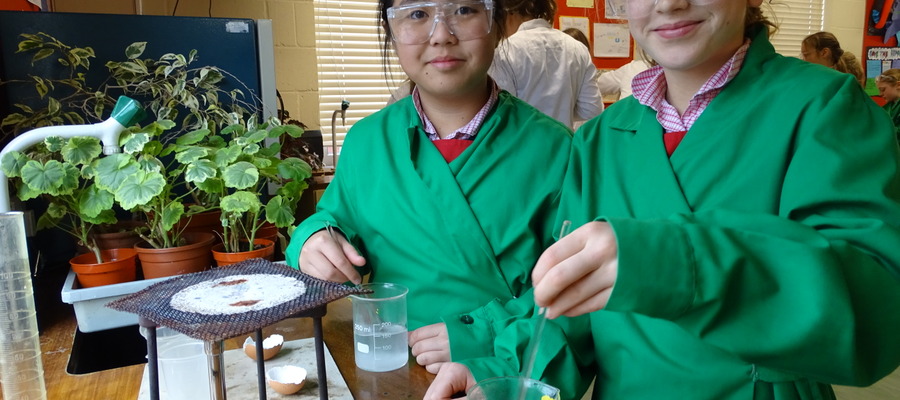 PREP GEODES-SCIENCE FAIR (48)