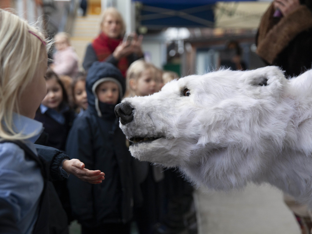 Hornsby House School Bjorn the Polar Bear low res