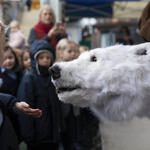 Hornsby House School Bjorn the Polar Bear low res