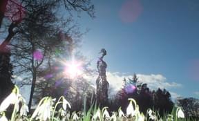 the Open Garden Scheme at Kilgraston School 23.2.20 (3)