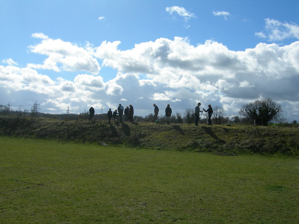 Image Description