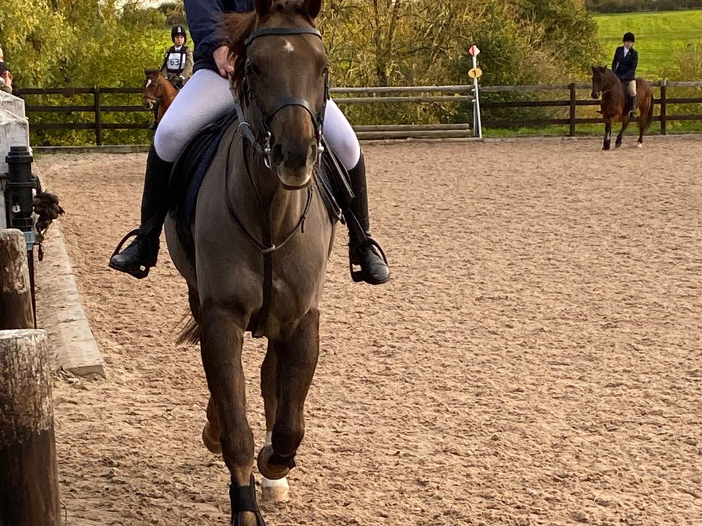 Ella-Mae Woods on her pony, Charlie