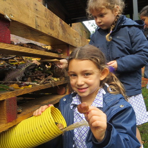 Building Bug Hotels