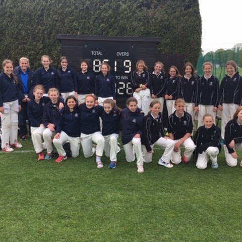 Girls cricket 2