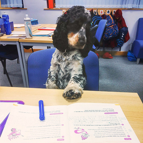 Jovi at school