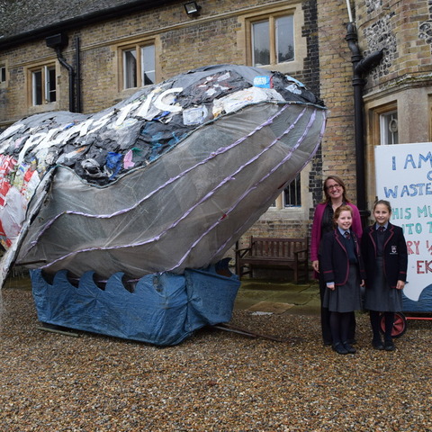 Plastic-Whale-Northbourne_Park-School-2019 (16)