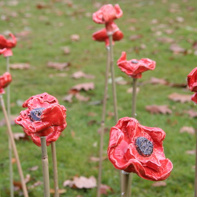 PIC_OAK_Ceramic poppies