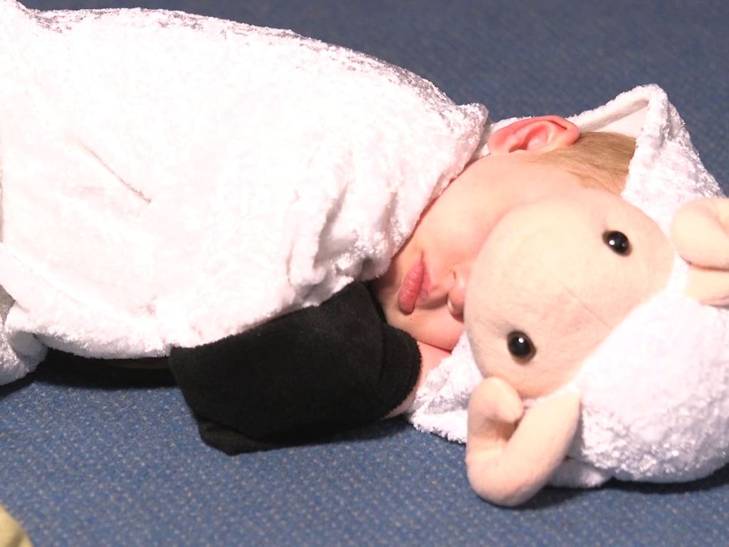 Sheep fast asleep 2