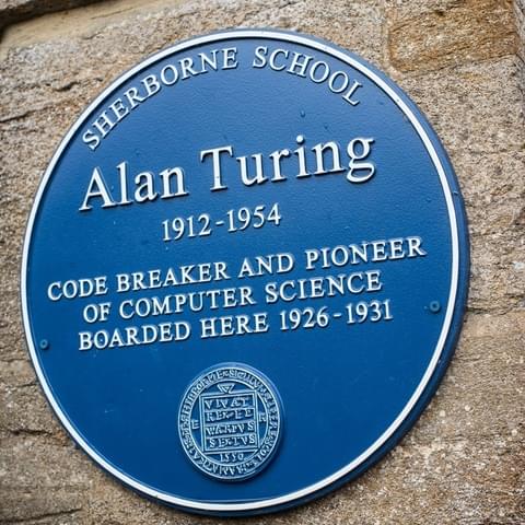 Turing plaque