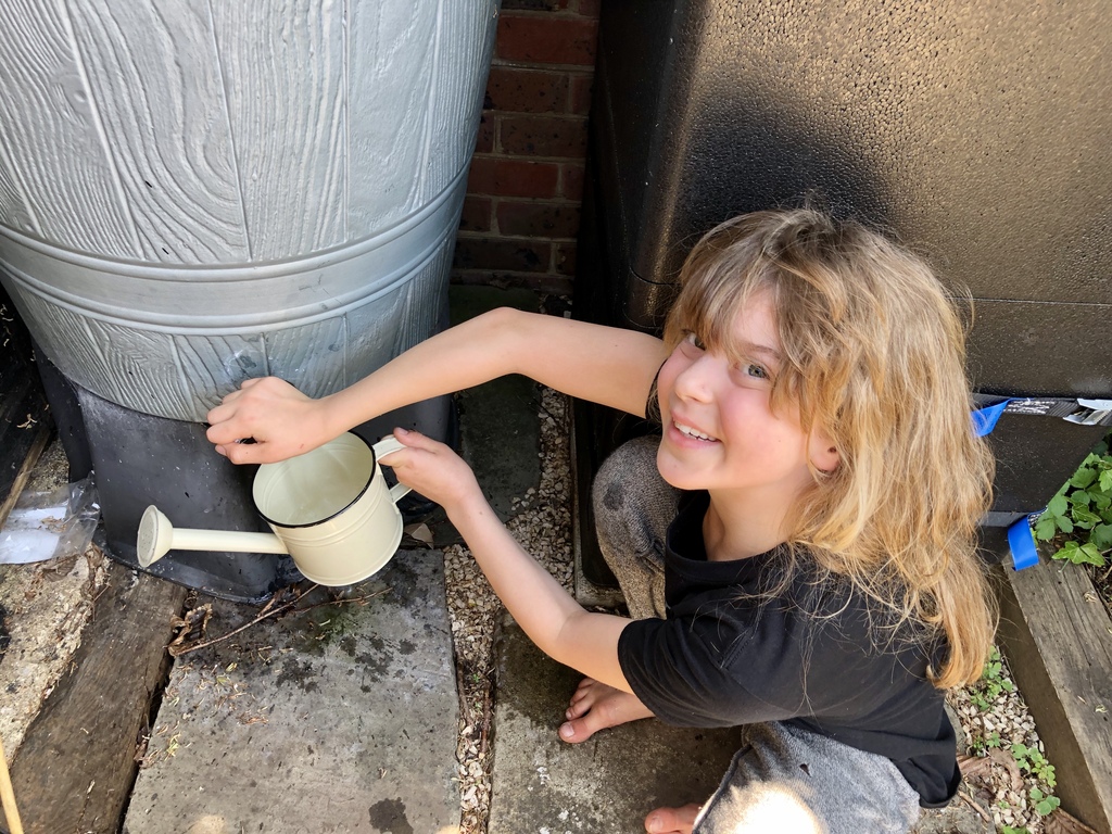 Etta Rose watering