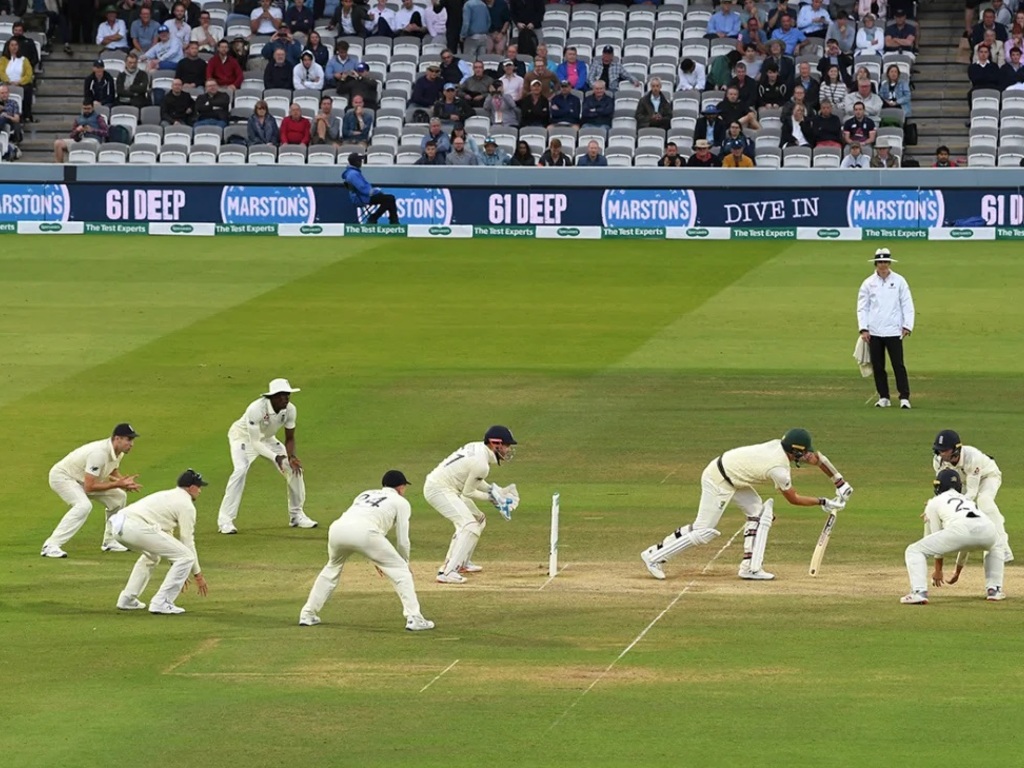 Cricket