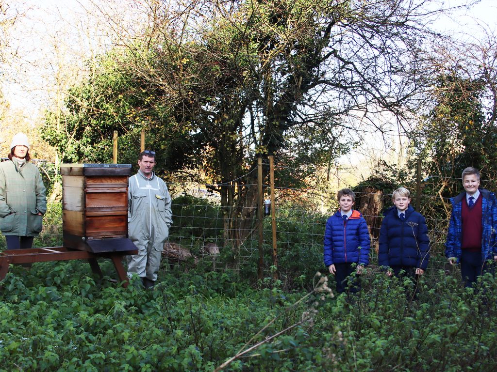 The Beacon Buzz Image 1 v
