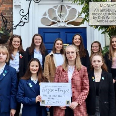 1 Wellbeing ambassadors