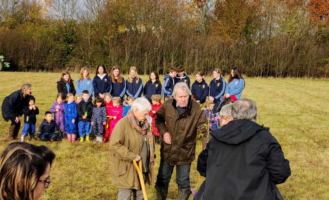 Dame Judi plants a tree.