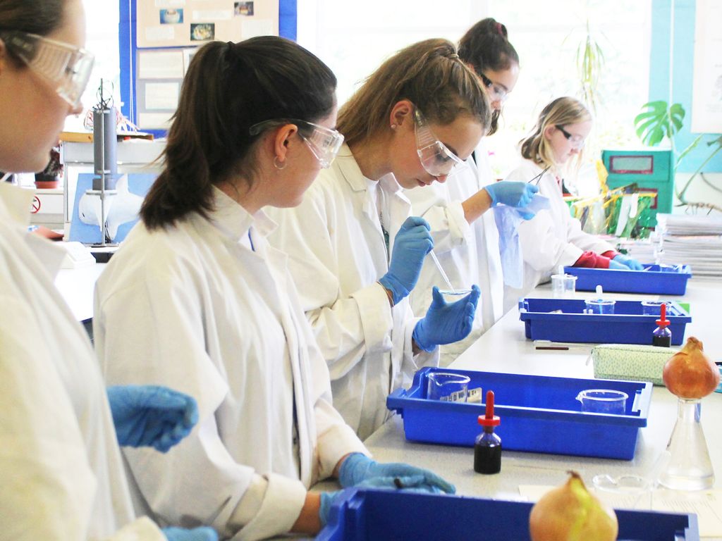 THS A Level biologists undertake research in the lab