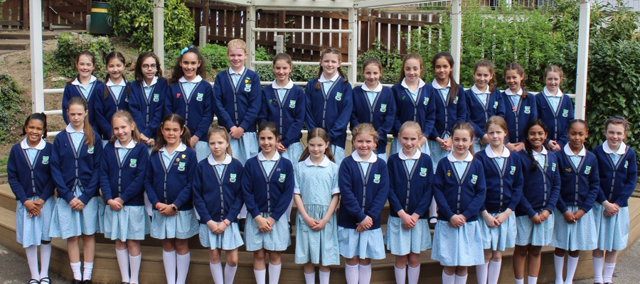 Year 6