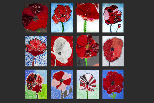 Poppies landscape